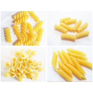 Macaroni, pasta, shell noodles